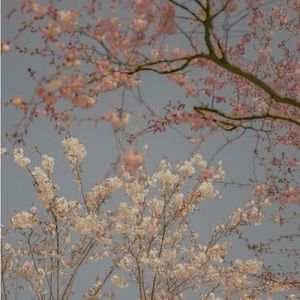 Meet your Posher, Fernanda